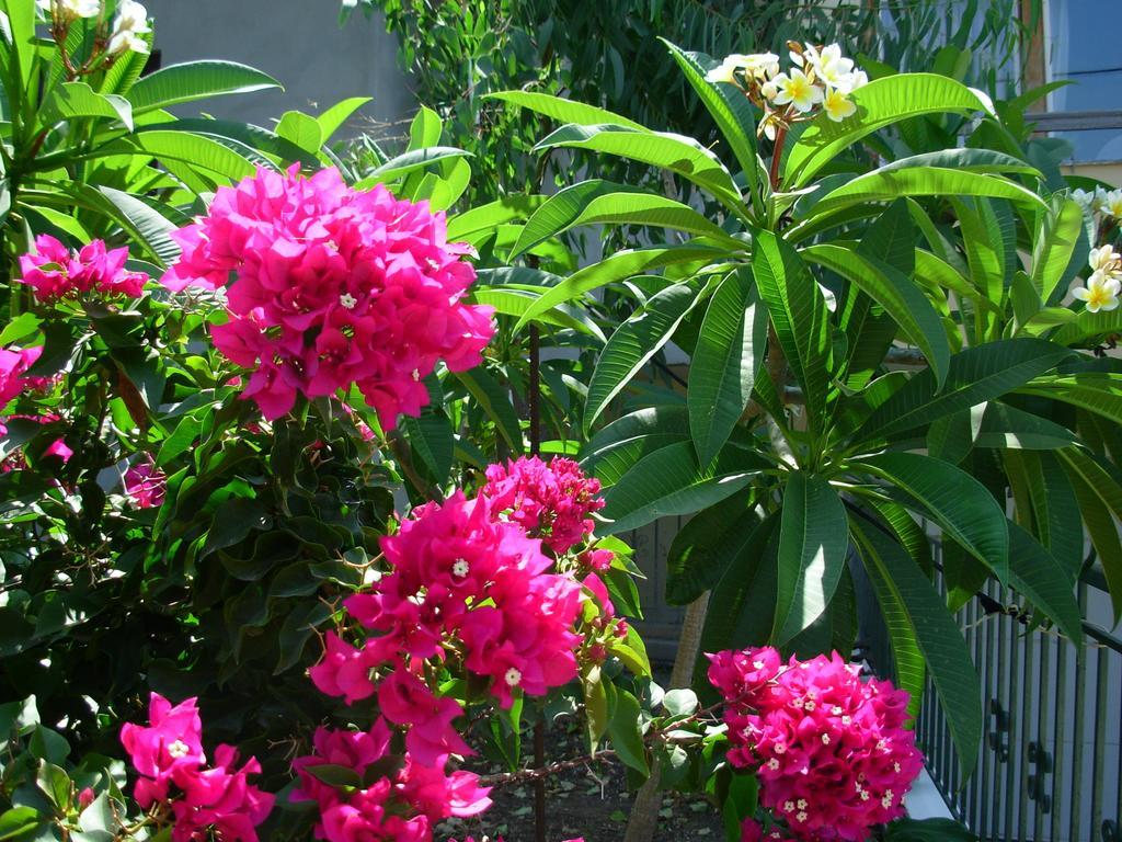 קיסאמוס Callista Sea View Or Garden חדר תמונה